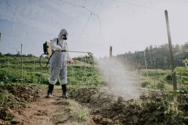 Best Best Pest Control Companies  in Glen Rock, PA