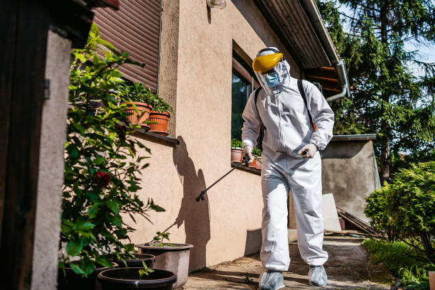 Bird Control in Glen Rock, PA